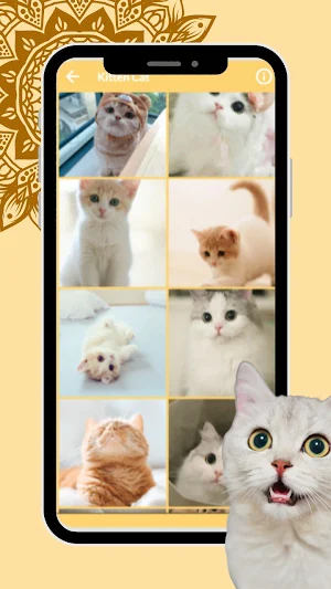 Cute Cat Wallpaper HD Kittens Screenshot 3