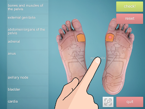 Drag&Drop Reflexology- foot screenshot 1
