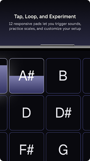 Bandmate chromatic tuner app S Screenshot 1