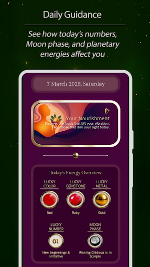 Shamrock: Numerology Insights Screenshot 3
