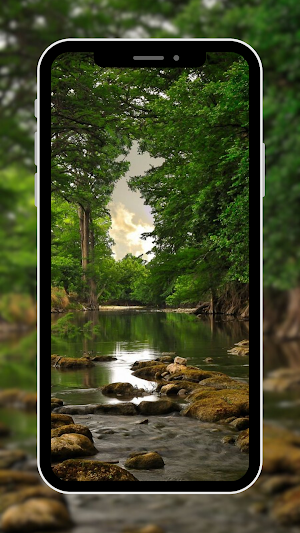 Nature Wallpaper Screenshot 2