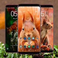 Squirrel Wallpaper