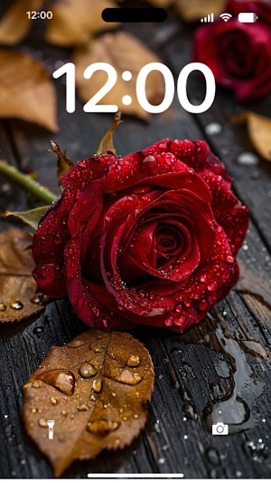 HD Red Rose Live Wallpaper Screenshot 2