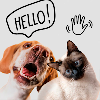 Pet Translator Cat & Dog