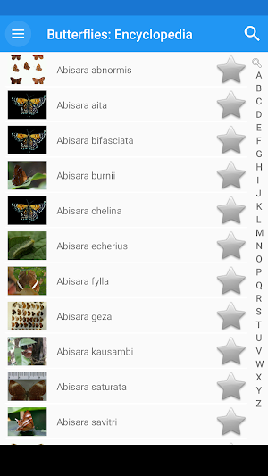 Butterflies:Encyclopedia.Description,Photo,Offline Screenshot 0
