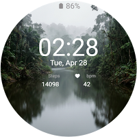 Mysterious Jungle Mist