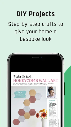 HomeStyle Magazine Screenshot 1