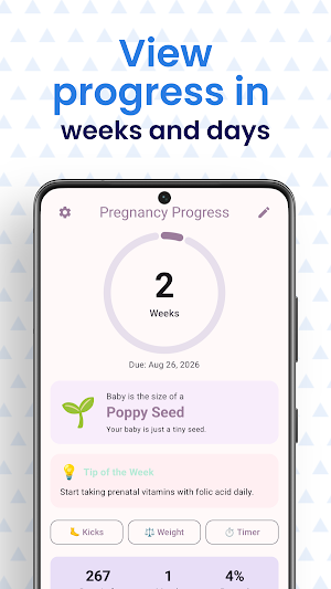 Pregnancy Countdown Tracker Screenshot 2