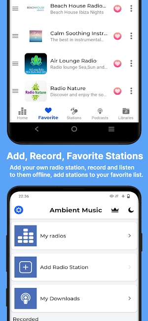 Ambient Music & Lounge Radio Screenshot 2