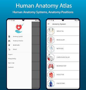 Human Anatomy Handbook Screenshot 1