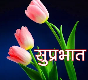शुभ प्रभात Screenshot 0