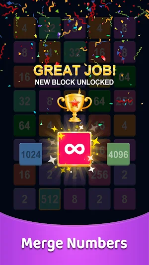 2248 Puzzle Game Master Screenshot 2