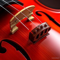Mandolin Tuner