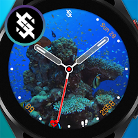 BFF16-Animation Underwater