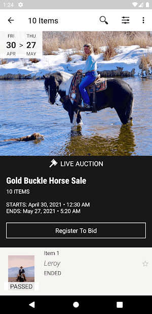 Gold Buckle Horse Sale Screenshot 1