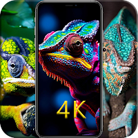Color Chameleon HD Wallpapers