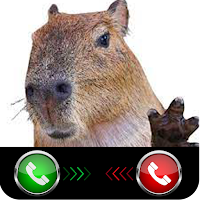 Capybara Funny calling