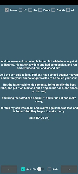 RSVCE Bible Verses Screenshot 2