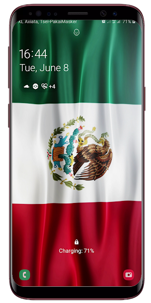 Mexico Flag Live Wallpaper Screenshot 3