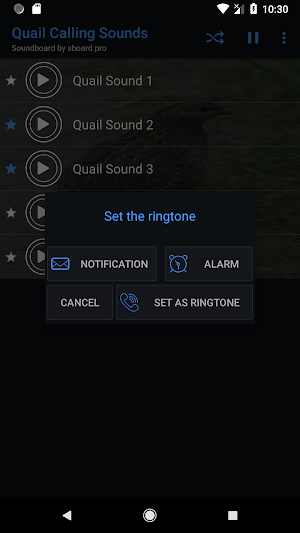 Quail Calling Sounds Screenshot 2