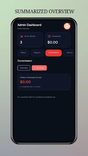 RoadyGo Admin Screenshot 2