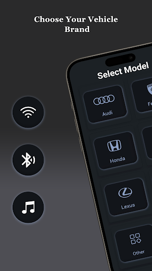 Carlinkit Screenshot 1