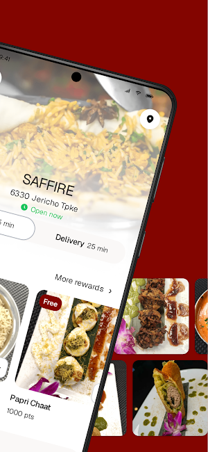 SAFFIRE To Go Screenshot 1