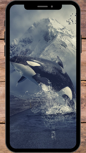 Paus Orca Wallpaper Screenshot 3