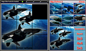 Magic Slide Puzzle B Fishes 1 Screenshot 3