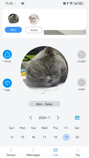 DVPETS Screenshot 2