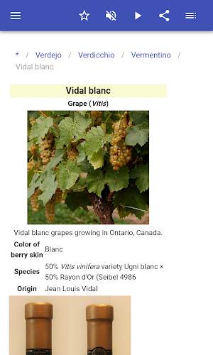 Grape varieties Screenshot 3