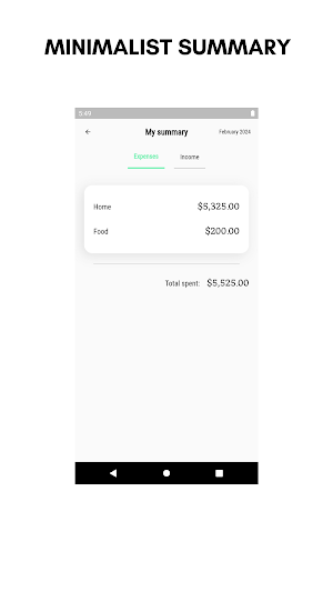 Mercuri: Presupuestos y Gastos Screenshot 3