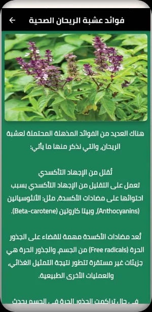 الريحان Screenshot 0