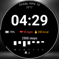 Fitness Pal Watch Face