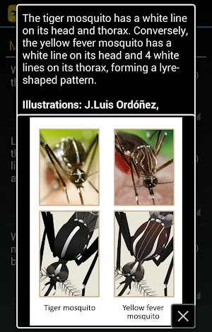 Mosquito Alert Screenshot 3