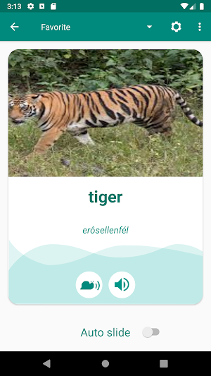 Hungarian English Dictionary Screenshot 2