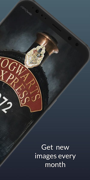 HP Wallpapers HD Screenshot 3