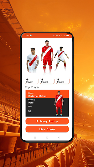 Soccer Scores PE Screenshot 0