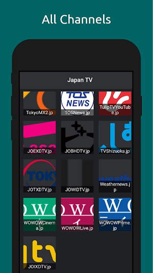 Japanese TV Screenshot 2