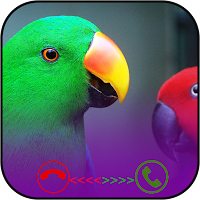 FACE CALL-PARROT