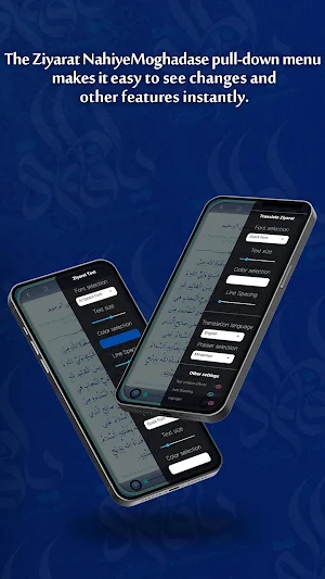 Ziyarat Nahya Muqaddasa Screenshot 2