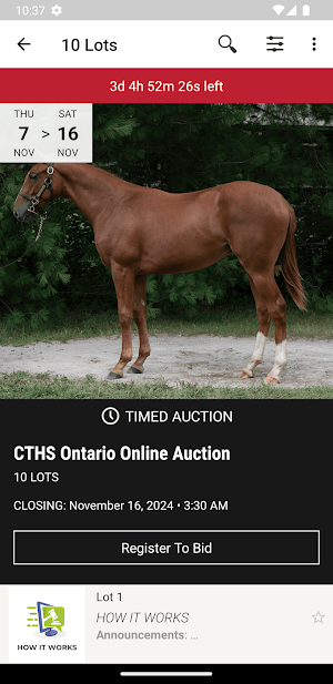 CTHS ONT Auction Screenshot 1