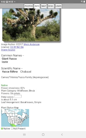 Northeast Mexico Wildflowers Screenshot 2
