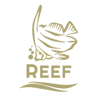 EgyReefSmart