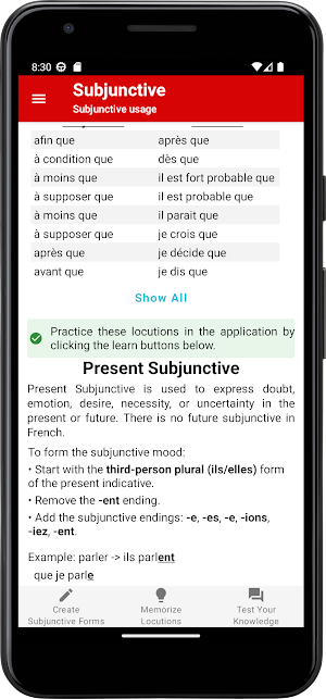 French Subjunctive Screenshot 1