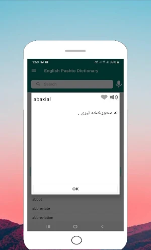 Pashto Dictionary Screenshot 3