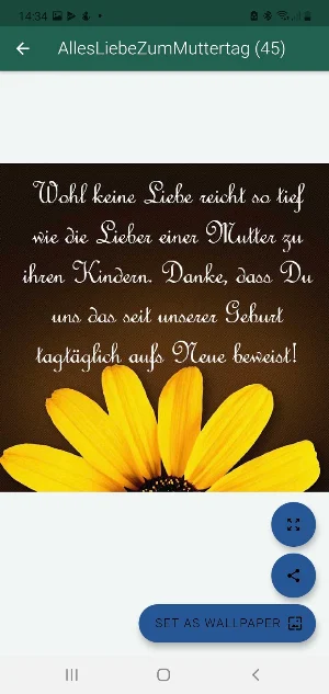 Alles Liebe Zum Muttertag Screenshot 3