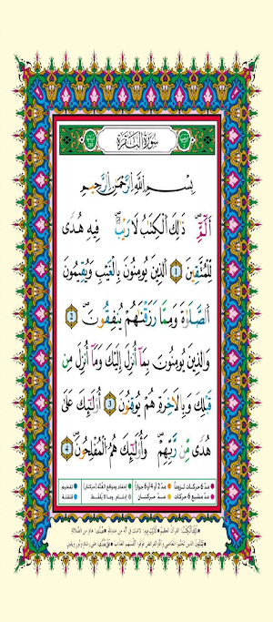 Quran Tajweed Warsh المصحف ورش Screenshot 1