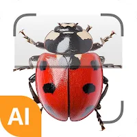 Insect ID - AI insect identify