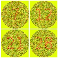 Color Blindness Test App